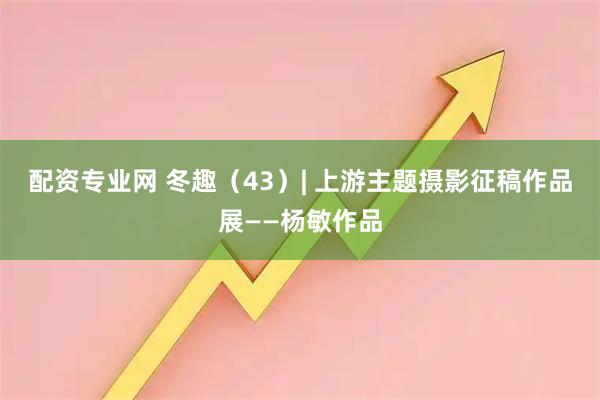 配资专业网 冬趣（43）| 上游主题摄影征稿作品展——杨敏作品
