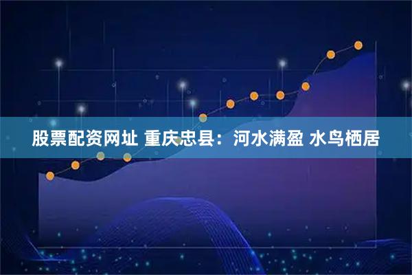 股票配资网址 重庆忠县：河水满盈 水鸟栖居