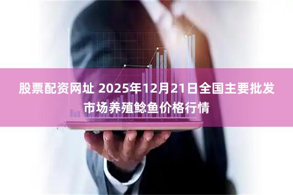 股票配资网址 2025年12月21日全国主要批发市场养殖鲶鱼价格行情